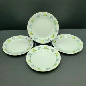 Corelle Forget Me Not Bread Dessert Plates Corning Floral Appetizer Plates